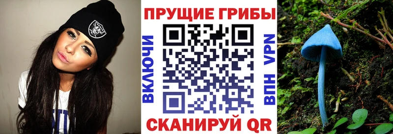 Псилоцибиновые грибы ЛСД  Пучеж 